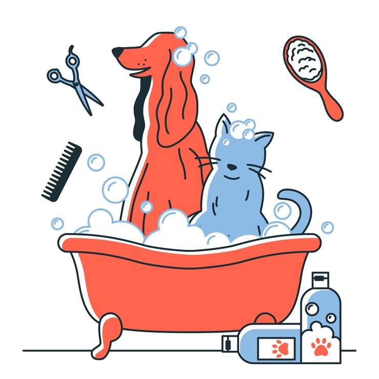 Grooming Kits