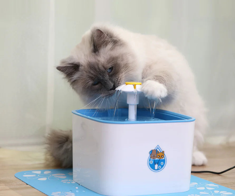 Cat Forest Water Fountain