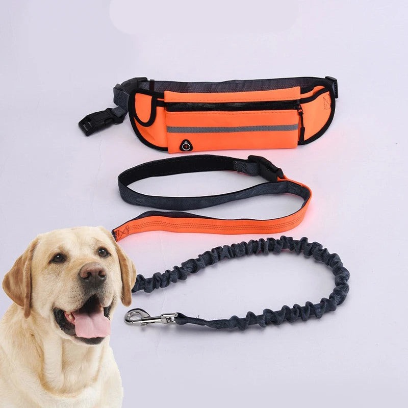 Waist Running Dog Leash