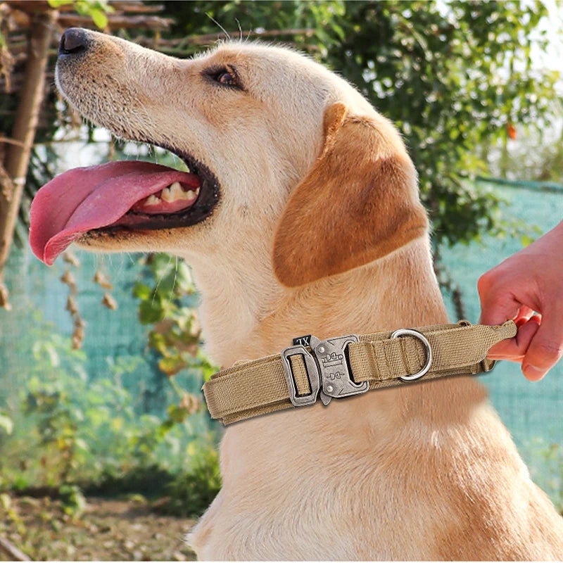 Tactical Dog Leash Set